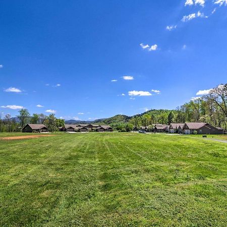 Townsend Condo With Pool, Great Smoky Mountain Views Exterior foto